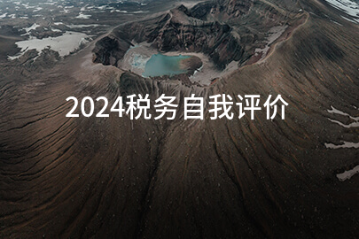 2024税务自我评价(范例七篇)